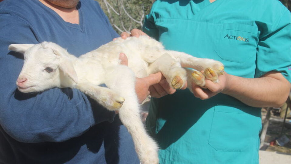 Mersin'de ilginç olay! Böyle doğdu