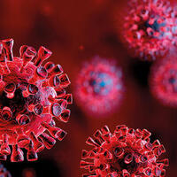 Pandemi nedir, ne anlama geliyor?