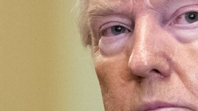"Trump koronavirüse karşı çok endişeli"