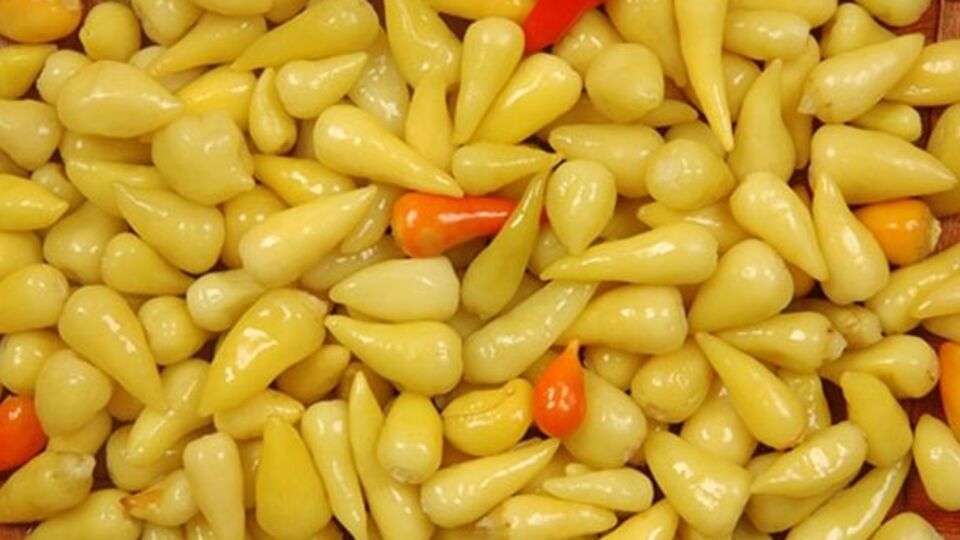 Biberiye turşusu nasıl yapılır?