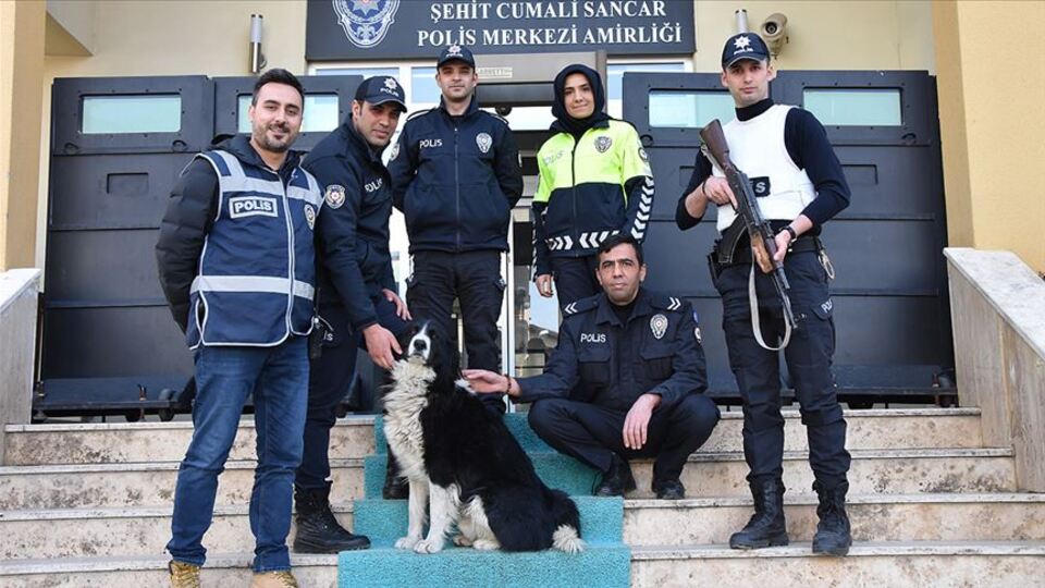 Polislerin 'mesai arkadaşı' Max!