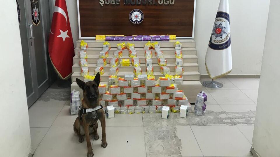 Zeyna yine yakaladı