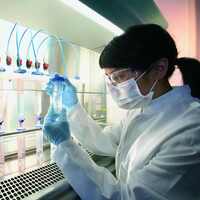 Çözüm bulana 164 milyon euro destek!