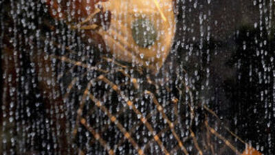 Yunan adalarından gelenlere önlem!