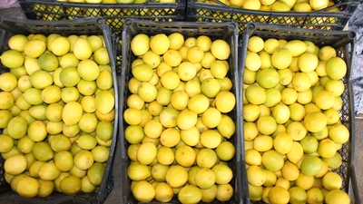 Talep patlaması var! Kolonyadan sonra ona hücum ettik!