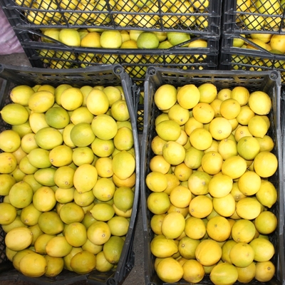 Talep patlaması var! Kolonyadan sonra ona hücum ettik!