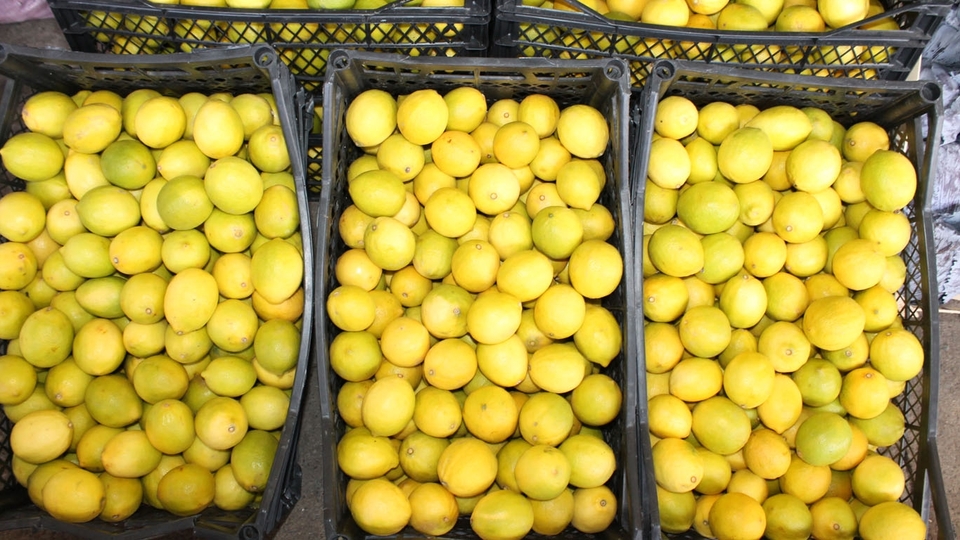 Talep patlaması var! Kolonyadan sonra ona hücum ettik!
