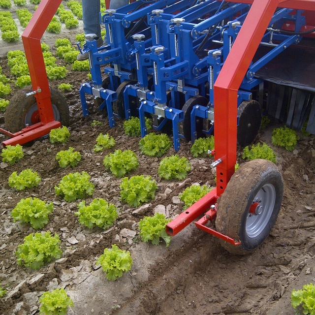 Çin ve Kamboçya ürünlerine soruşturma