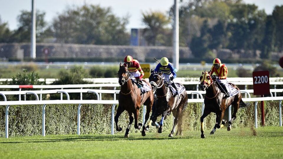 At yarışları ertelendi