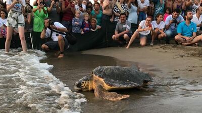 Tuba da kendini karantinaya aldı