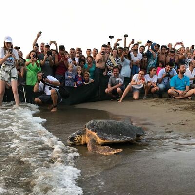 Tuba da kendini karantinaya aldı