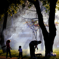 Piknik ve mangala yasak