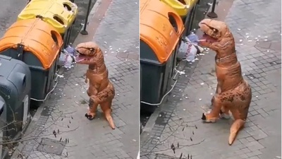 Karantinayı delen 'dinozor' evine gönderildi