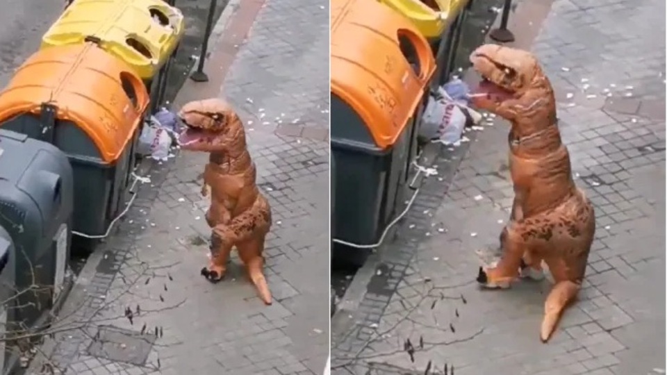 Karantinayı delen 'dinozor' evine gönderildi