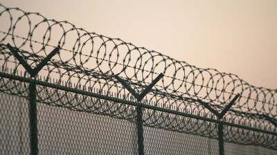 Af yasası 2020 son dakika gelişmeleri