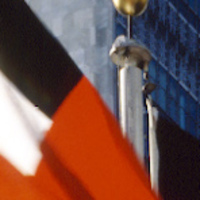 BM'den koronavirüs fonu