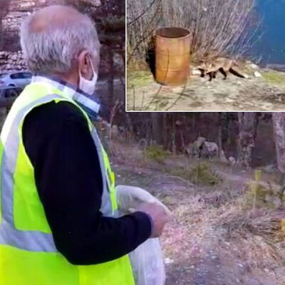 Her sabah ona gidiyor! Islıkla çağırıyor!