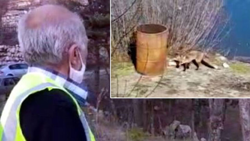 Her sabah ona gidiyor! Islıkla çağırıyor!