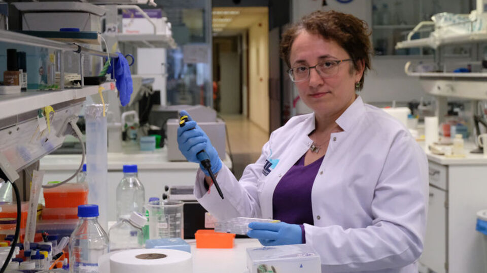 Koronavirüse karşı ilk yerli ilaç ve aşı çalışması başladı