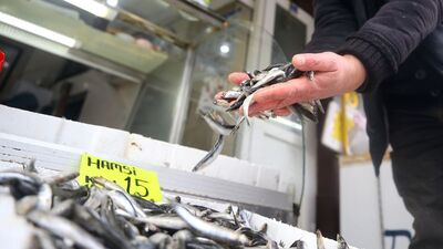 Balıkçılar için sezon sonu!