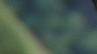 Bolsonaro'dan salgını hafife alan açıklamalar