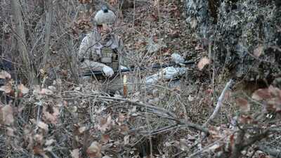 Mardin'de PKK/PYD'li 2 terörist tutuklandı!