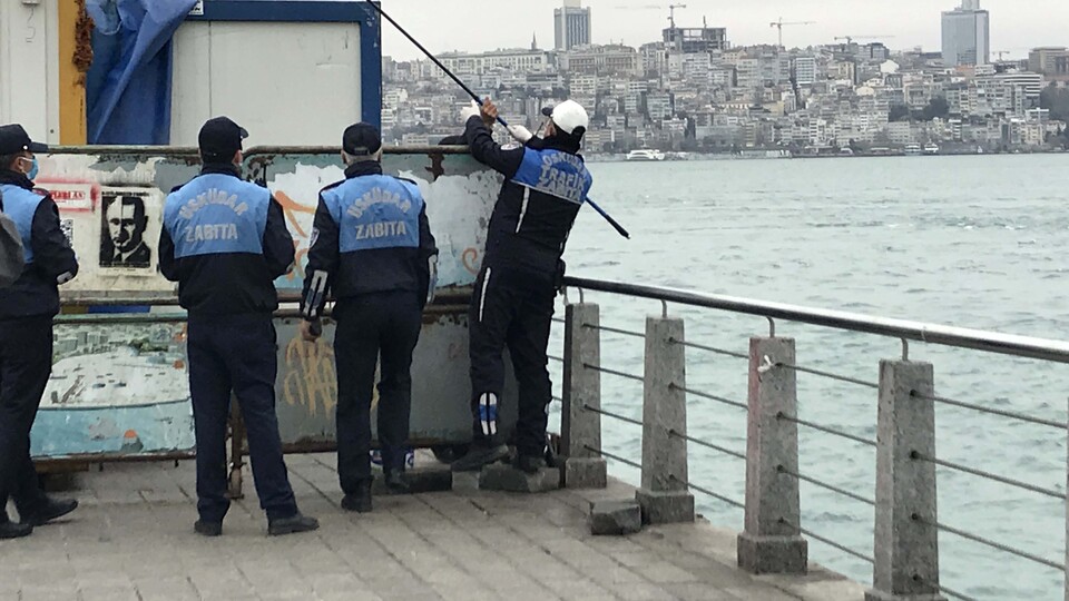 Pes dedirten koronavirüs duyarsızlığı!