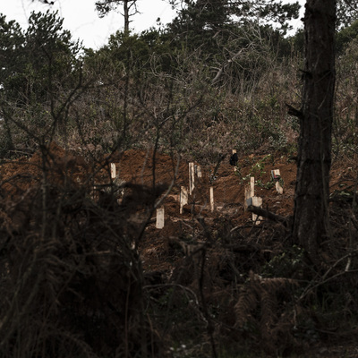 'Koronavirüs mezarlığı' tartışması!