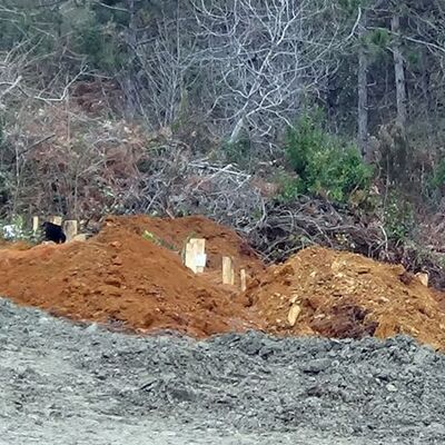 İşte Megakent'in 'korona' mezarlığı!