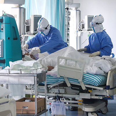 Sivrisinekler koronavirüs taşıyor mu?