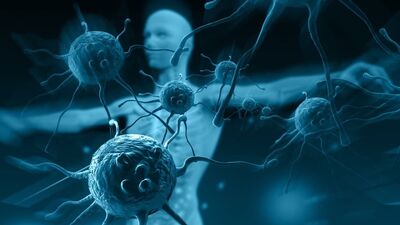 Bağışıklık sistemini güçlendiren bitkisel ilaçlar