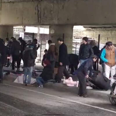 Pes dedirten görüntü!