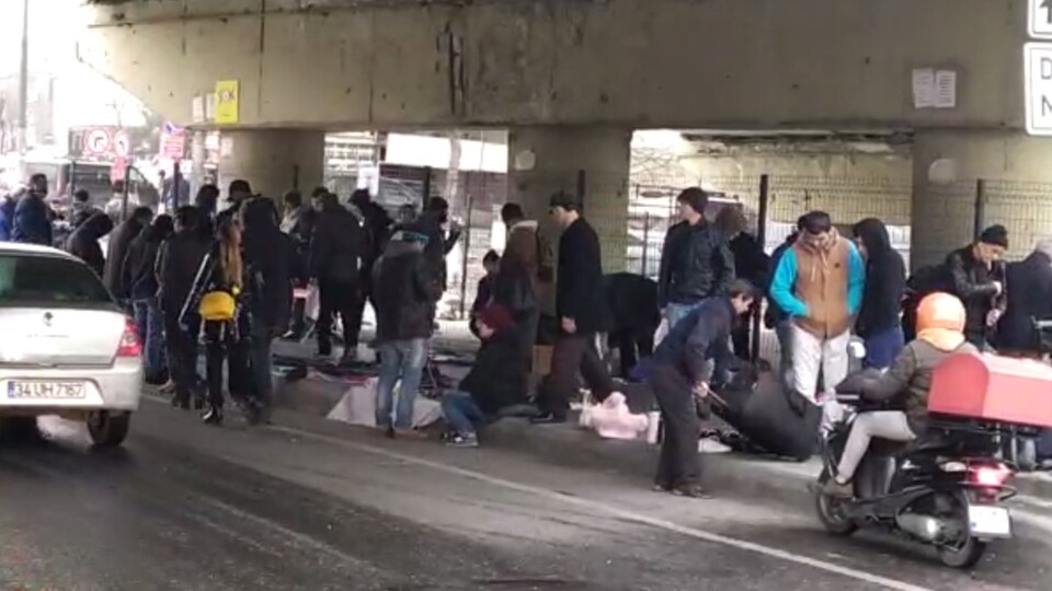 Pes dedirten görüntü!