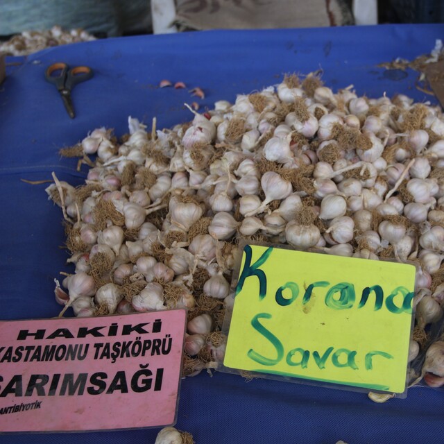 Uzmanlar tavsiye etti, fiyatı uçtu