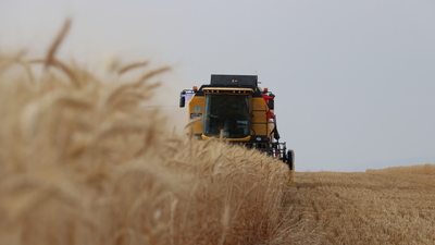 Düşük faizli tarımsal yatırım ve işletme kredilerinin şartları belli oldu