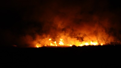 Göksu Deltası Kuş Cenneti'nde yangın