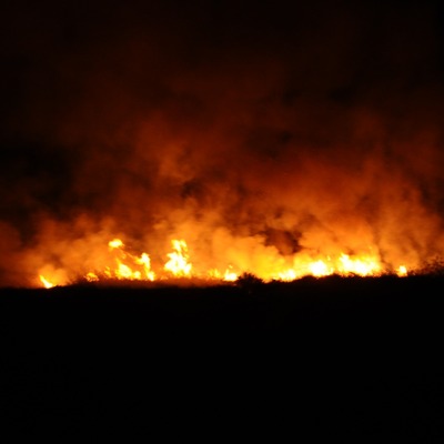 Göksu Deltası Kuş Cenneti’nde yangın