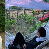 Koronavirüse karşı önlemi 'doğada' buldu