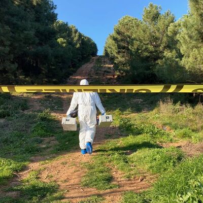 Dışarda virüs içerde vahşet!