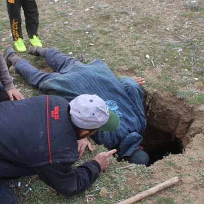 Koyun otlatan çobanlar fark etti! Tünel gibi uzuyor