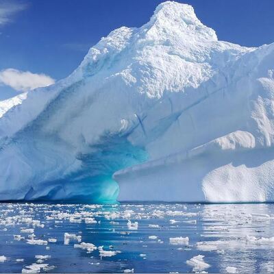 Dünya bunu da konuşuyor! Antarktika'da müthiş kanıt!