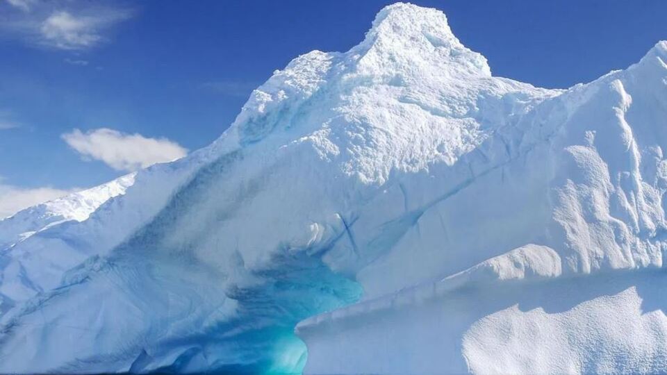 Dünya bunu da konuşuyor! Antarktika'da müthiş kanıt!