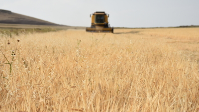 TZOB'dan çiftçilere destek çağrısı