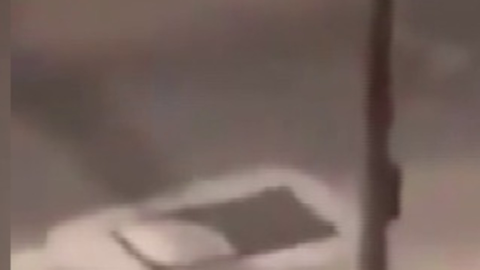 Karantinada karton kılığında dışarı çıktı!