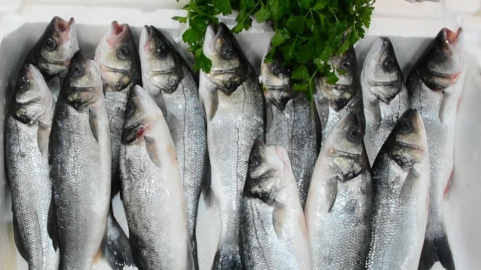 3 gün boyunca maliyetine balık satılacak