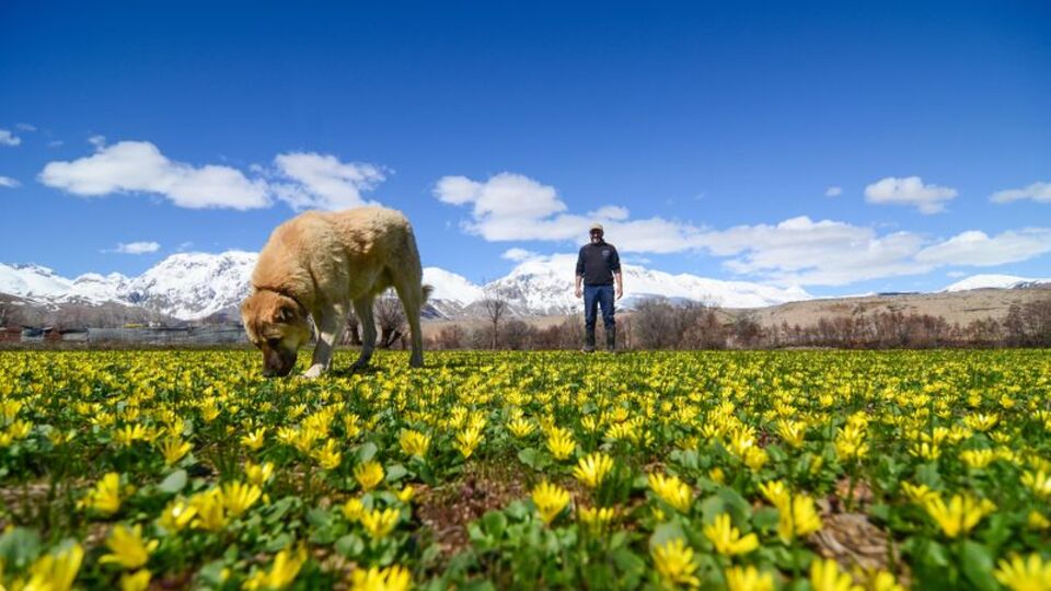 Munzur Dağları'nın arasındaki saklı cennet