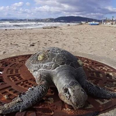 Son gelişleri oldu! Bir ayda 8 ölüm!