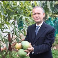 Bağışıklık sistemini güçlendiren tropikal meyveler