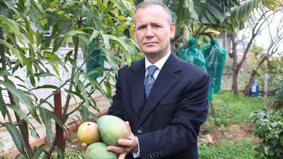 Bağışıklık sistemini güçlendiren tropikal meyveler
