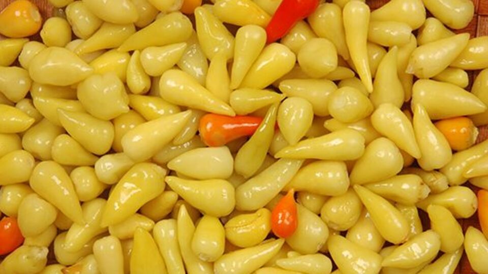 Biberiye Turşusu nasıl yapılır?